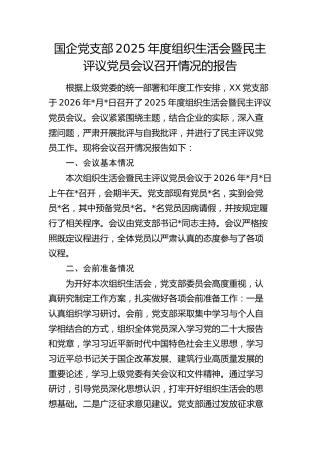 国企党支部2025年度组织生活会暨民主评议党员会议召开情况的报告