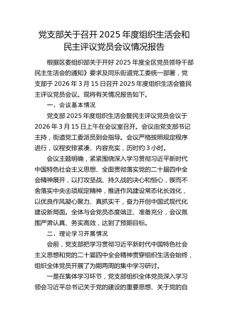 党支部关于召开2025年度组织生活会和民主评议党员会议情况报告