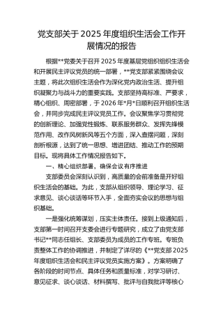 党支部关于2025年度组织生活会工作开展情况的报告