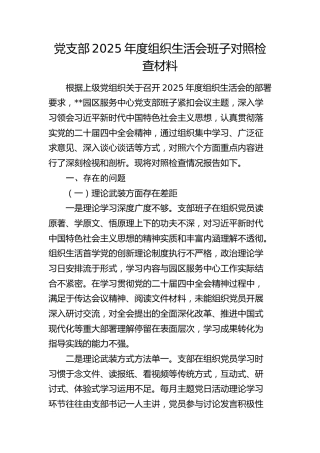 党支部2025年度组织生活会班子对照检查材料 (2)