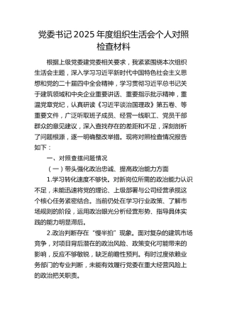 党委书记2025年度组织生活会个人对照检查材料