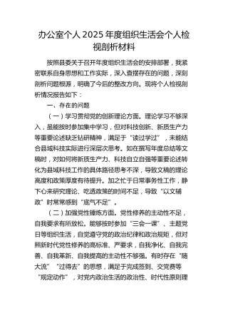办公室个人2025年度组织生活会个人检视剖析材料