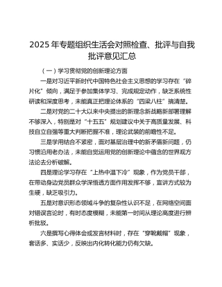 2025年专题组织生活会对照检查、批评与自我批评意见汇总