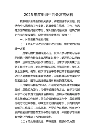 2025年度组织生活会发言材料