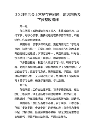 20组生活会上常见存在问题、原因剖析及下步整改措施