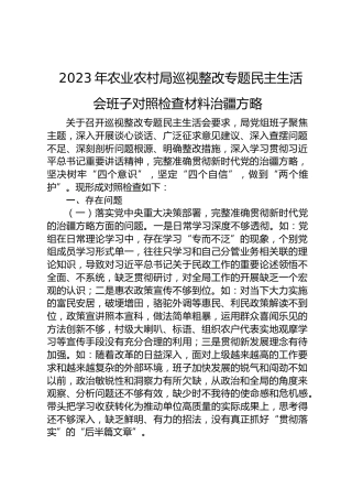 2023年农业农村局巡视整改专题民主生活会班子对照检查材料（含治疆方略）