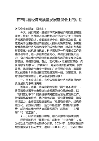 在市民营经济高质量发展座谈会上的讲话