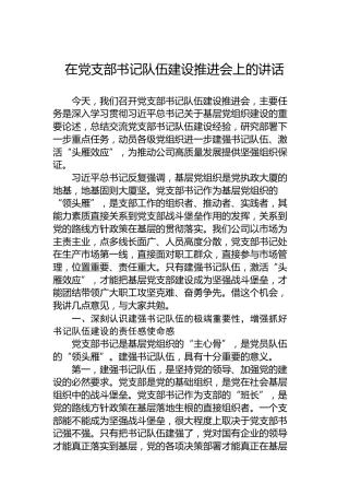 在党支部书记队伍建设推进会上的讲话