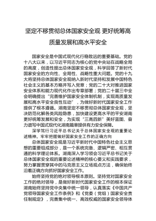坚定不移贯彻总体国家安全观更好统筹高质量发展和高水平安全