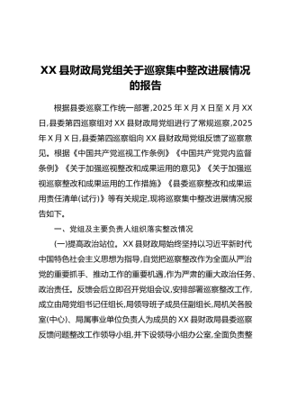 XX县财政局党组关于巡察集中整改进展情况的报告