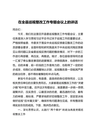 在全县巡视整改工作专题会议上的讲话