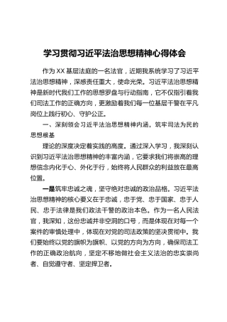 学习贯彻习近平法治思想精神心得体会