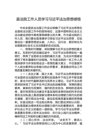 县法院工作人员学习习近平法治思想感悟