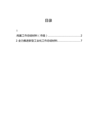 档案工作总结材料（市级）