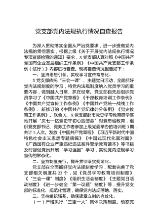 党支部党内法规执行情况自查报告