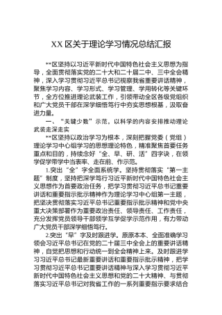 XX区关于理论学习情况总结汇报