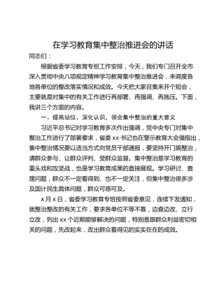 在学习教育集中整治推进会的讲话