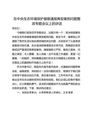 在中央生态环境保护督察通报典型案例问题整改专题会议上的讲话