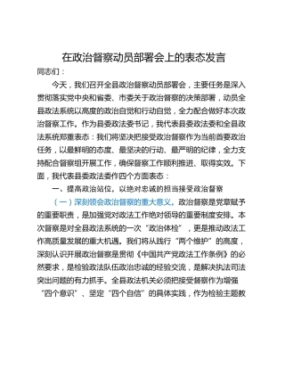 在政治督察动员部署会上的表态发言