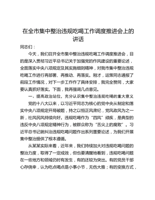在全市集中整治违规吃喝工作调度推进会上的讲话