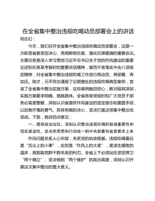 在全省集中整治违规吃喝动员部署会上的讲话