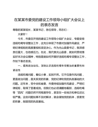 在某某市委党的建设工作领导小组扩大会议上的表态发言