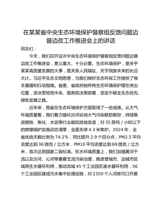 在某某省中央生态环境保护督察组反馈问题边督边改工作推进会上的讲话