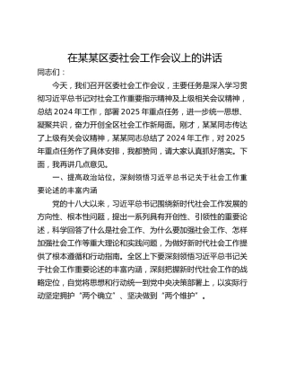 在某某区委社会工作会议上的讲话