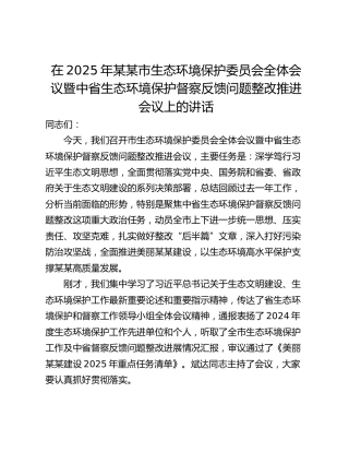 在2025年某某市生态环境保护委员会全体会议暨中省生态环境保护督察反馈问题整改推进会议上的讲话