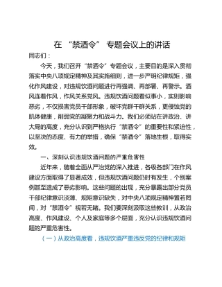 在 “禁酒令” 专题会议上的讲话