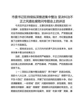 市委书记在持续纵深推进集中整治 坚决纠治不正之风查处腐败问专题会上的讲话