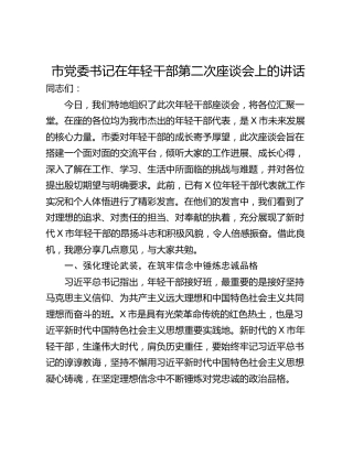 市党委书记在年轻干部第二次座谈会上的讲话