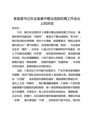 某县委书记在全县集中整治违规吃喝工作会议上的讲话
