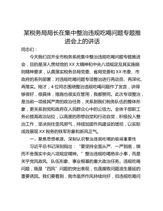 某税务局局长在集中整治违规吃喝问题专题推进会上的讲话