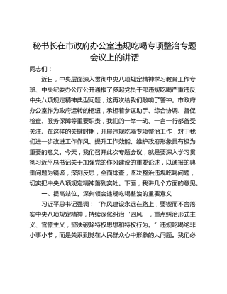 秘书长在市政府办公室违规吃喝专项整治专题会议上的讲话