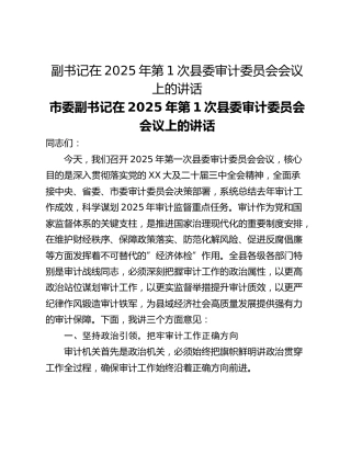 副书记在2025年第1次县委审计委员会会议上的讲话