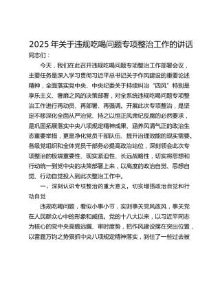 2025年关于违规吃喝问题专项整治工作的讲话_1