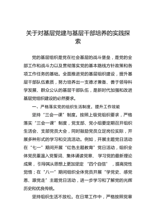 关于对基层党建与基层干部培养的实践探索