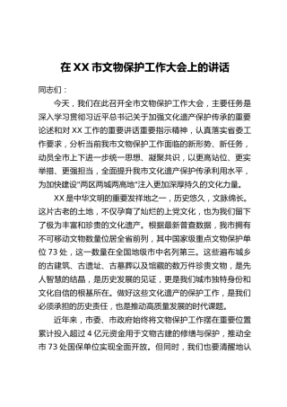 在XX市文物保护工作大会上的讲话