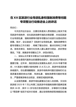 在XX区旅游行业导游乱象和强制消费等问题专项整治行动推进会上的讲话