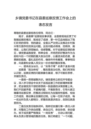 乡镇党委书记在县委巡察反馈工作会上的表态发言