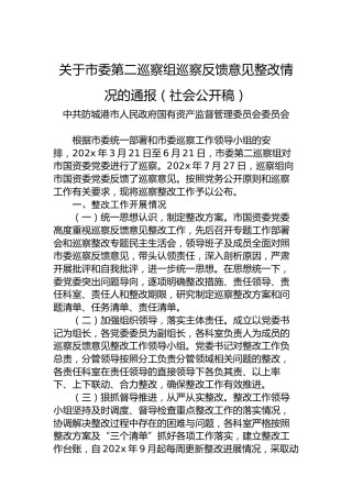 关于市委第二巡察组巡察反馈意见整改情况的通报（社会公开稿）