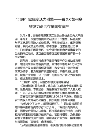 “沉睡”家底变活力引擎——看XX如何多维发力盘活存量国有资产