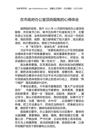 在市政府办公室顶岗锻炼的心得体会