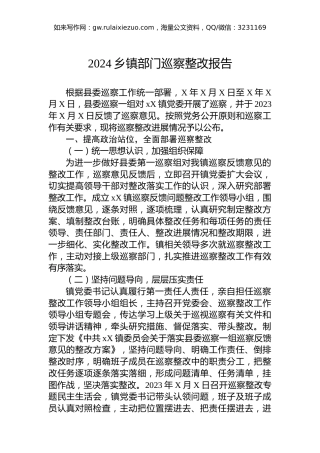 2024乡镇部门巡察整改报告