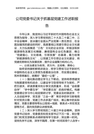 2024年公司党委书记关于抓基层党建工作述职报告
