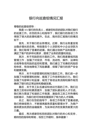 银行向巡查组情况汇报