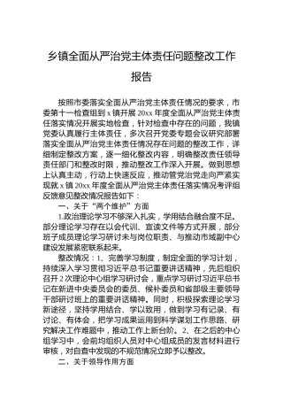 乡镇全面从严治党主体责任问题整改工作报告