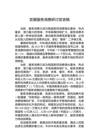 发展服务消费研讨发言稿