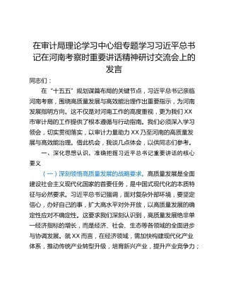 在审计局理论学习中心组专题学习习近平总书记在河南考察时重要讲话精神研讨交流会上的发言